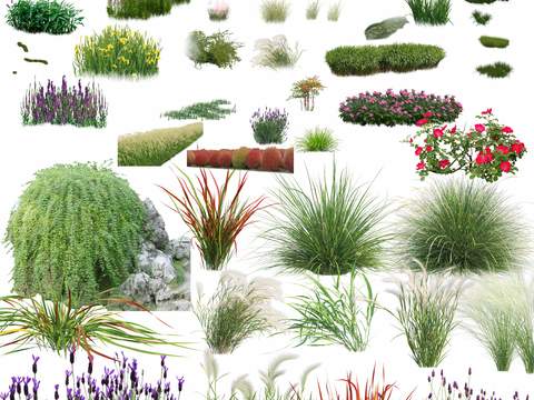  现代绿植花卉灌木丛psd 