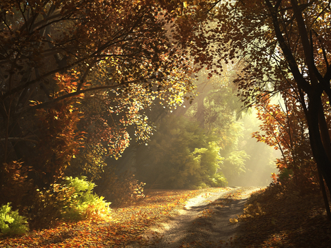  现代森林景观3d模型 