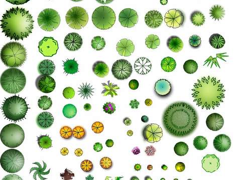  现代经典平面植物景观psd 