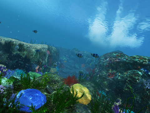  现代海底世界水族馆3d模型 