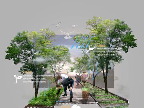  现代菜园菜地景观psd 