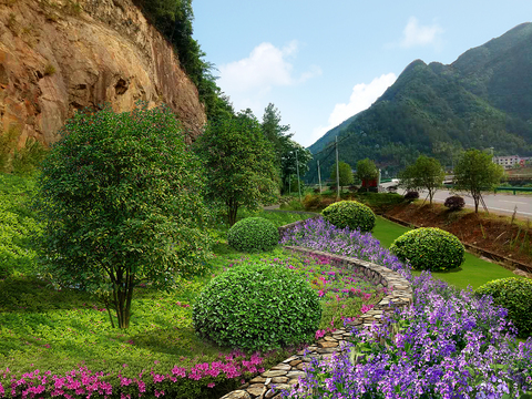  现代绿植植物造景小品psd 