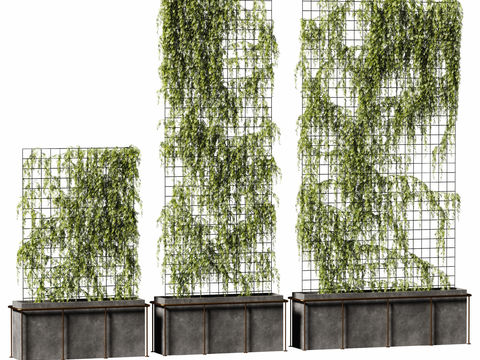  现代植物藤蔓3d模型 