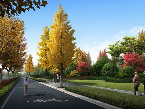  现代枫树道路桥梁景观psd 