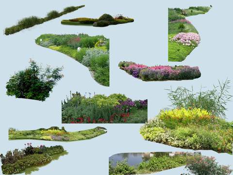  现代灌木丛花草绿植psd 