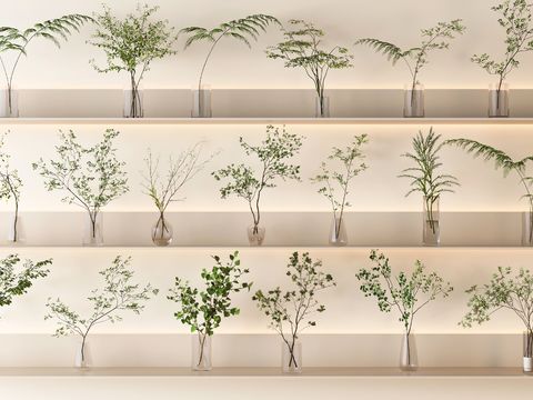  水生植物 水培绿植3d模型 