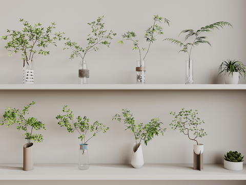  水培绿植 花瓶花艺3d模型 