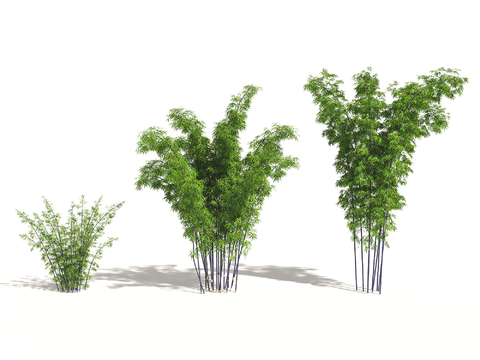  现代绿植竹子组合3d模型 