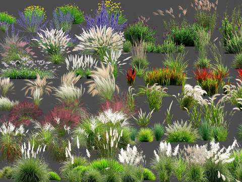  观赏草 花草 草丛堆psd 