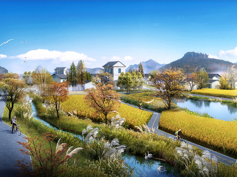  乡村稻田鸟瞰psd 