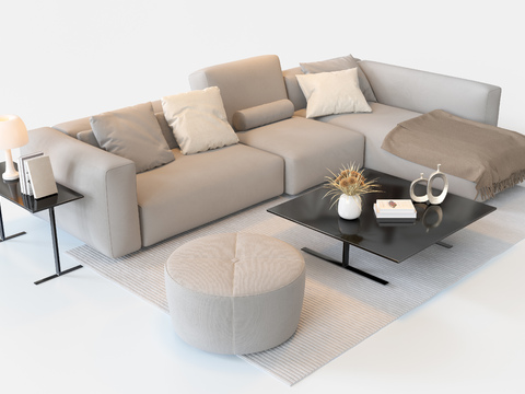  意大利 Poliform 米白色组合沙发3d模型 