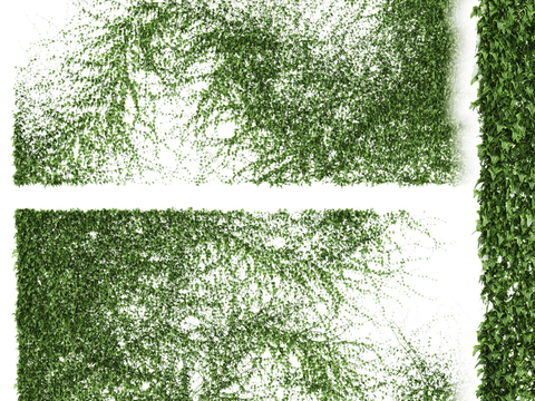  现代植物藤蔓3d模型 