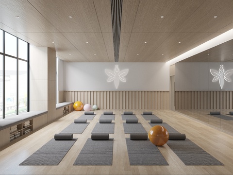  现代瑜伽室 瑜伽房3d模型 