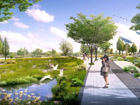  现代湿地公园景观psd 