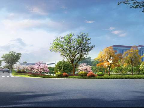  城市道路 公路 绿化带psd 