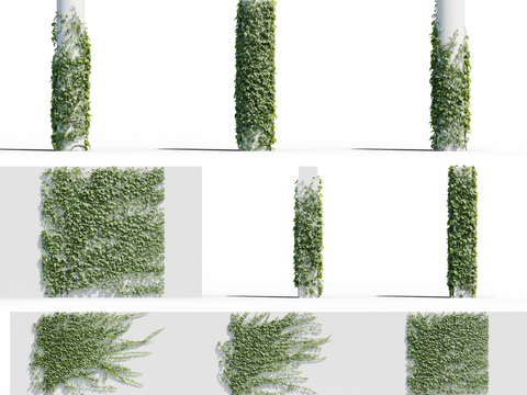  现代植物藤蔓3d模型 