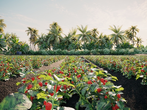  现代草莓园采摘园3d模型 
