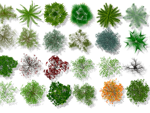  现代绿植树木平面素材psd 