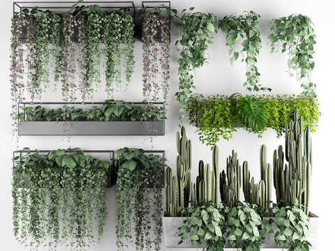  现代绿植藤蔓3d模型 