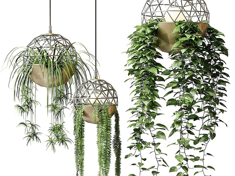  绿植吊篮3d模型 