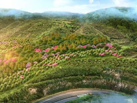  山坡 山体挡墙 植被psd 