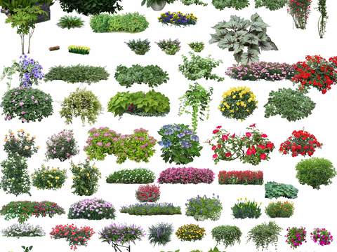  现代灌木丛花草盆栽psd 