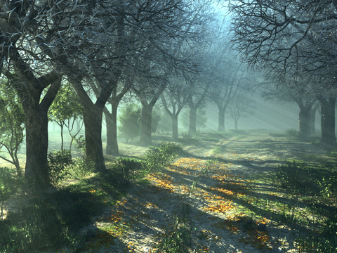  现代森林丛林景观3d模型 