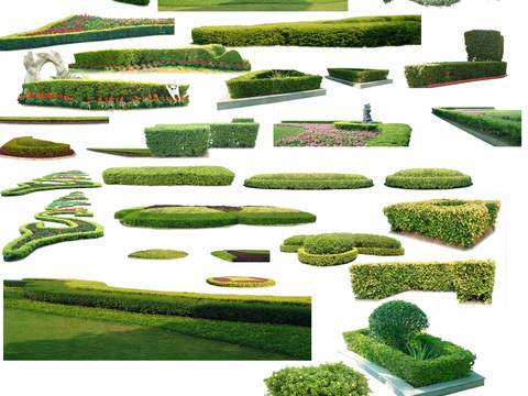 现代绿植花草灌木丛psd 