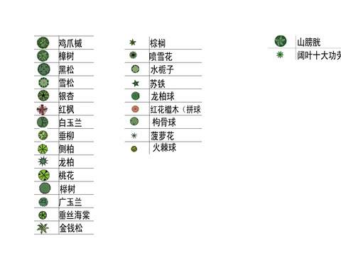  现代大树绿植植物平面图psd 