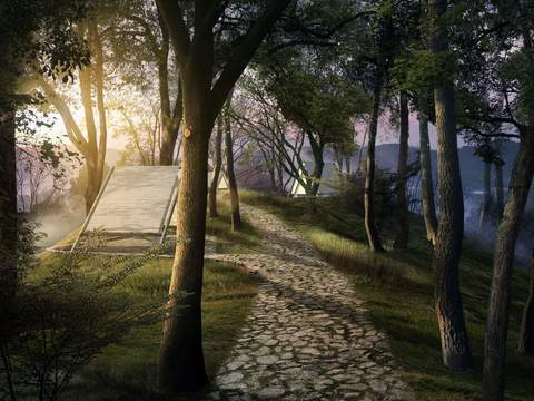  现代森林丛林景观psd 