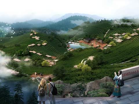  现代生态观光茶园鸟瞰psd 