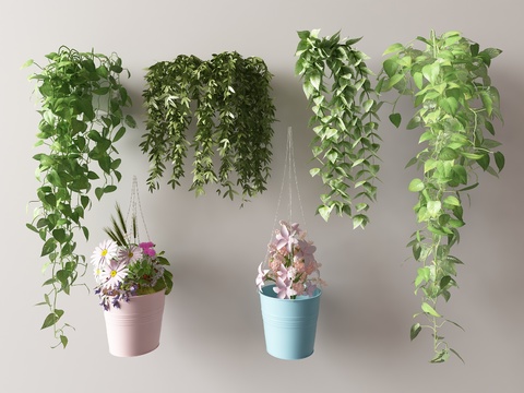  藤蔓 爬藤 吊篮 绿萝3d模型 