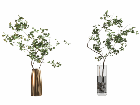  水生植物3d模型 