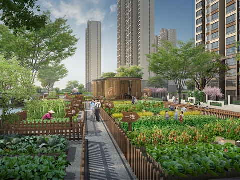  小区景观 生态菜园PSD 