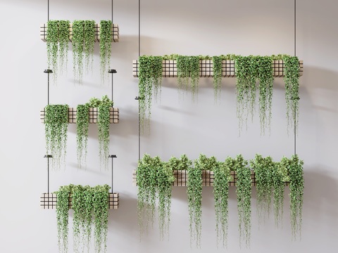  现代吊兰绿植吊篮3d模型 