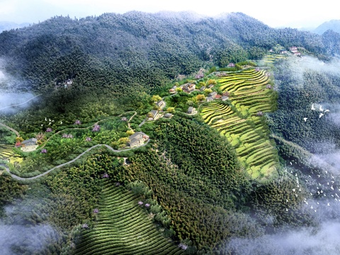  园林景观 梯田psd 