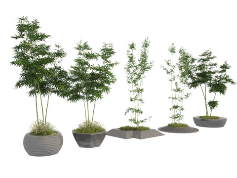  竹子 树池 花坛3d模型 