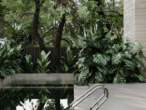  户外游泳池 庭院游泳池3d模型 