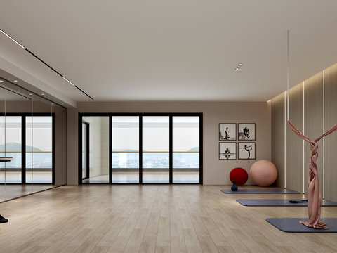  轻奢风瑜伽房3d模型 