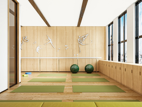  现代舞蹈室 瑜伽室3d模型 