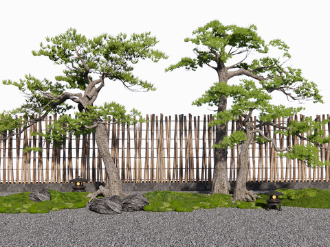  景观小品 松树造景3d模型 