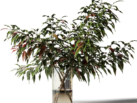  水培绿植 水生植物3d模型 