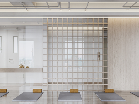  现代瑜伽室 瑜伽馆3d模型 