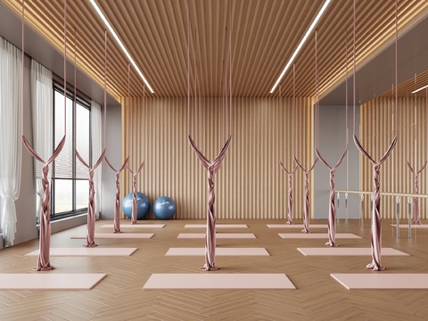  现代瑜伽室 瑜伽房3d模型 