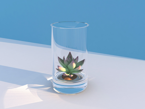  水生植物 水培绿植 多肉3d模型 