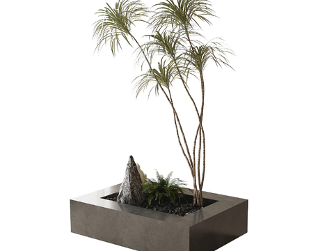  现代植物盆景3d模型 
