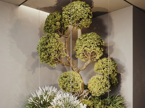  玻璃景观 植物堆 室内造景3d模型 