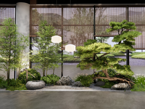  室内景观 植物造景 罗汉松3d模型 