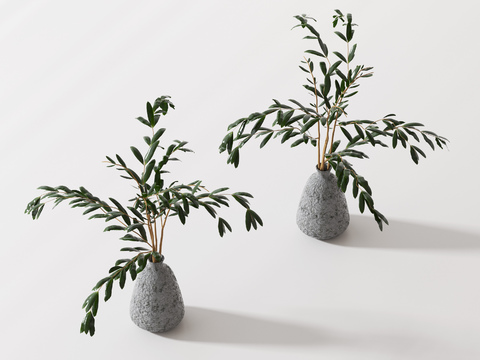  水培绿植 水生植物3d模型 