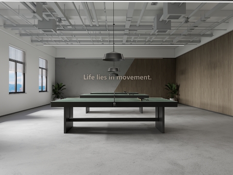  现代乒乓球室3d模型 